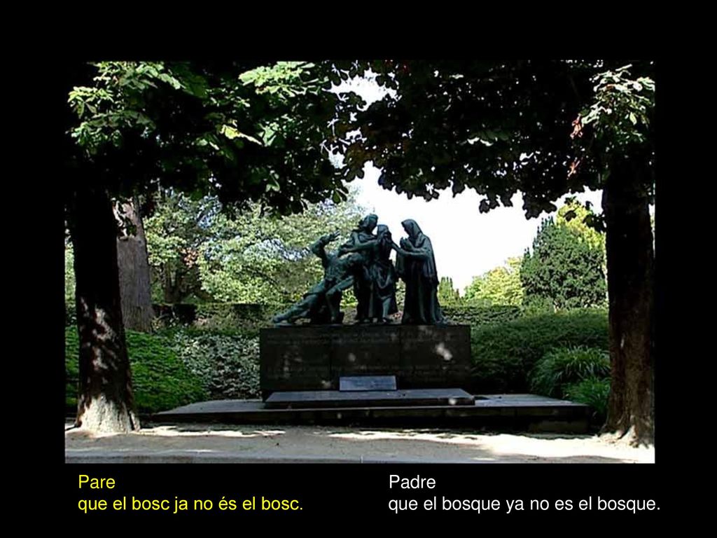 Pare que el bosc ja no és el bosc. Padre que el bosque ya no es el bosque.