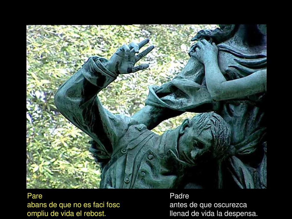 Pare abans de que no es faci fosc. ompliu de vida el rebost.