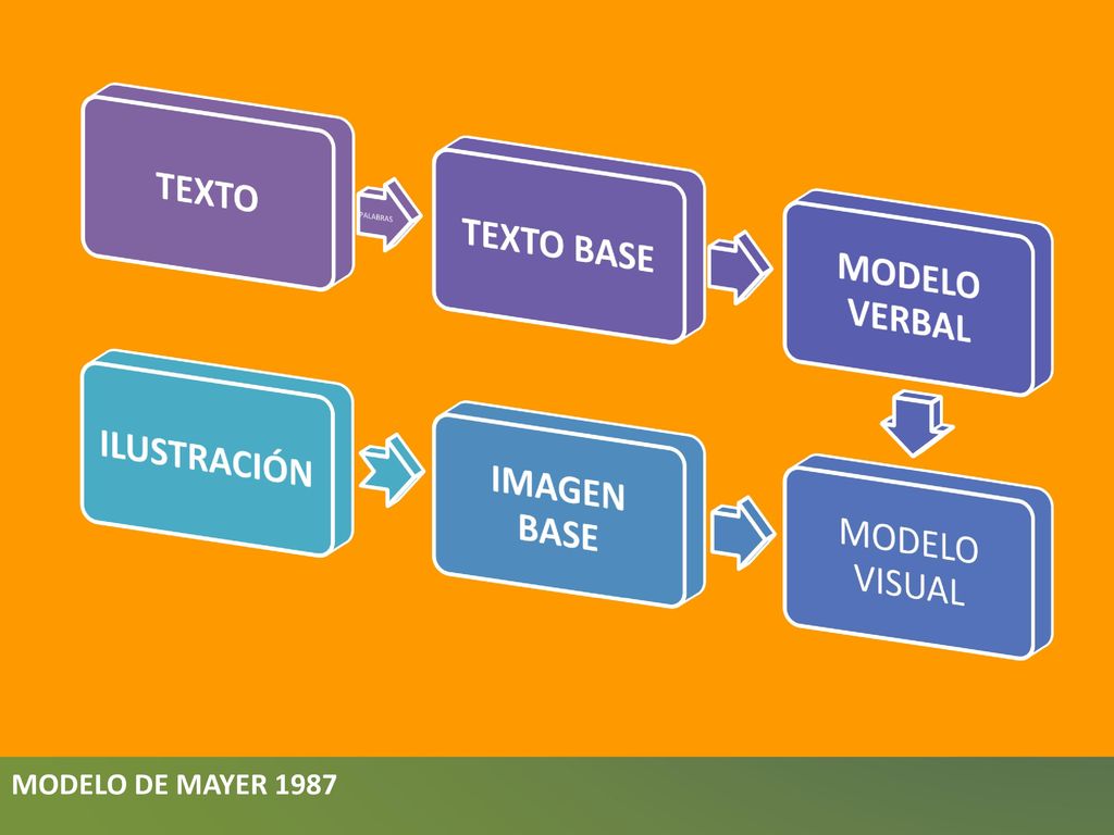 MODELO DE MAYER 1987 TEXTO TEXTO BASE MODELO VERBAL MODELO VISUAL