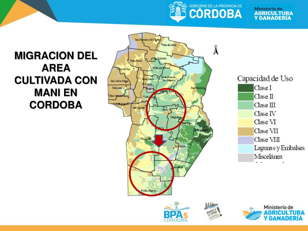 MIGRACION DEL AREA CULTIVADA CON MANI EN CORDOBA