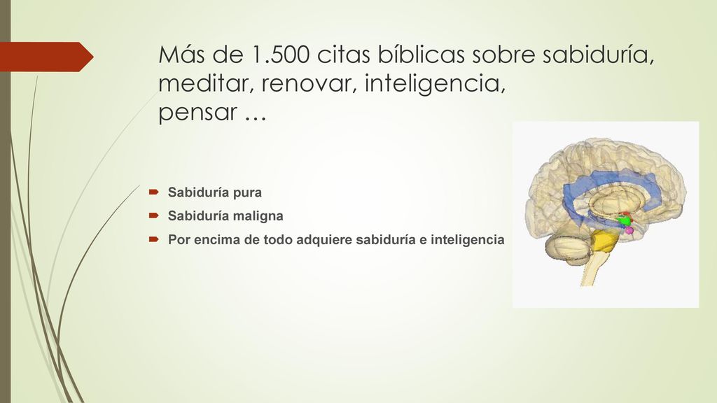 Más de citas bíblicas sobre sabiduría, meditar, renovar, inteligencia, pensar …