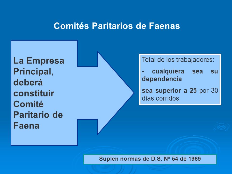 Comités Paritarios de Faenas Suplen normas de D.S. Nº 54 de 1969