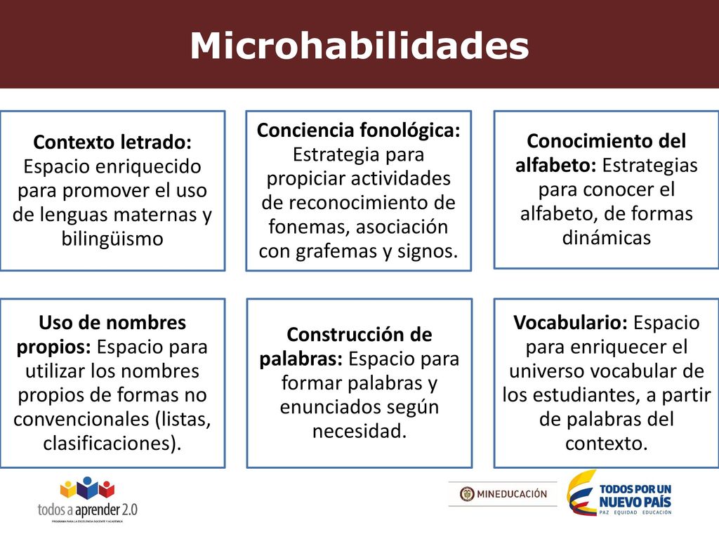 Microhabilidades Contexto letrado: Espacio enriquecido para promover el uso de lenguas maternas y bilingüismo.