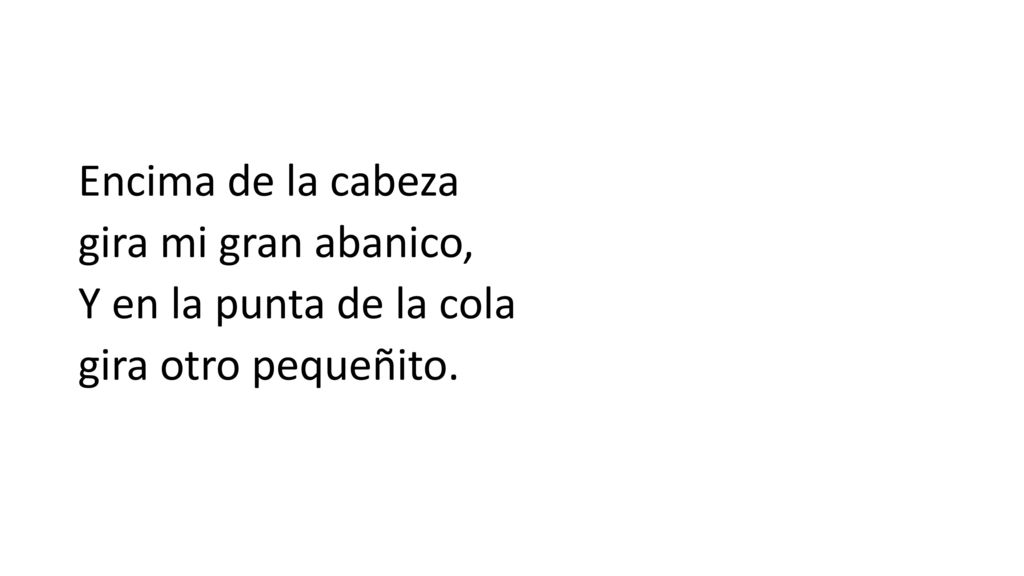 Encima de la cabeza gira mi gran abanico, Y en la punta de la cola gira otro pequeñito.