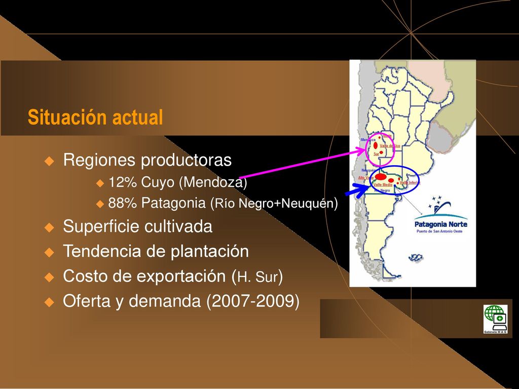 Situación actual Regiones productoras Superficie cultivada