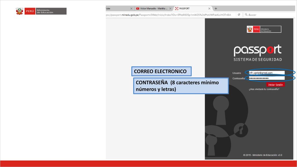CORREO ELECTRONICO CONTRASEÑA (8 caracteres mínimo números y letras)