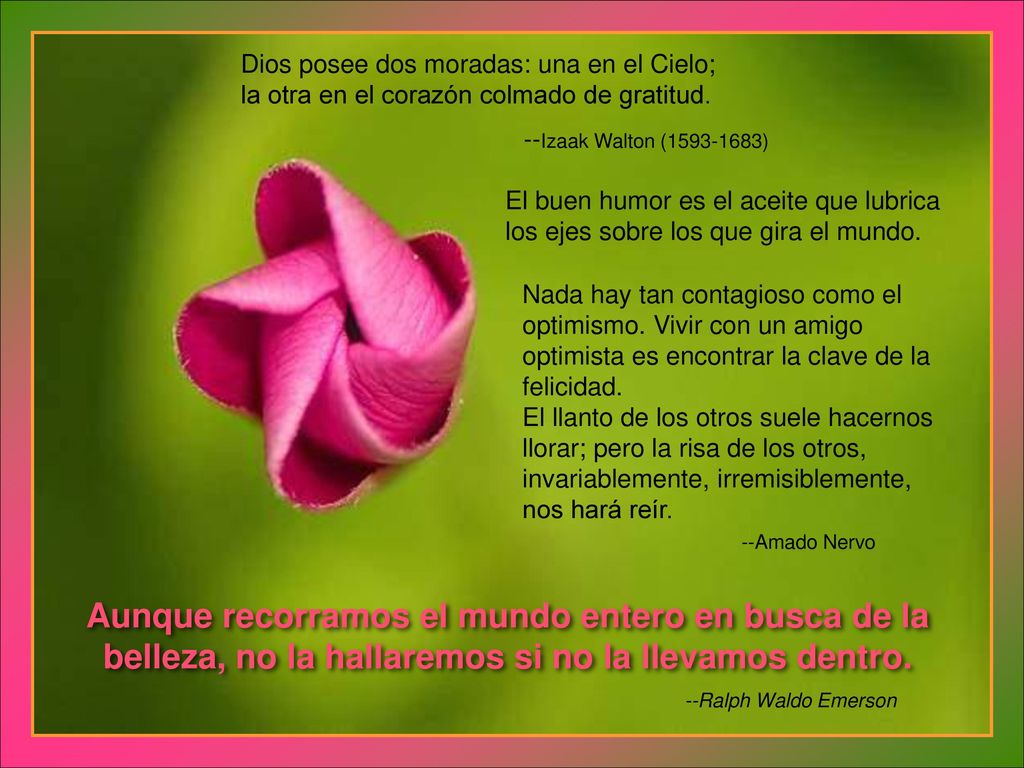 Dios posee dos moradas: una en el Cielo; la otra en el corazón colmado de gratitud.