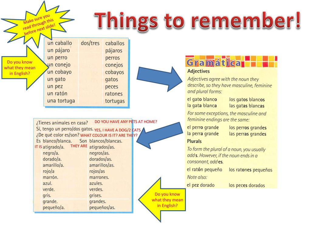 Things to remember! Do you know what they mean in English