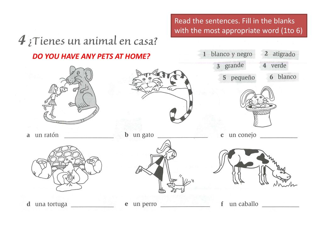 Read the sentences. Fill in the blanks with the most appropriate word (1to 6)