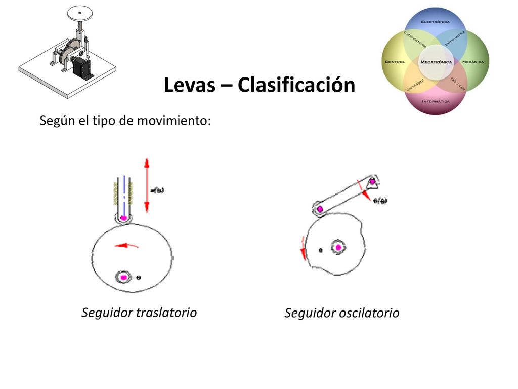 Levas – Clasificación Según el tipo de movimiento: