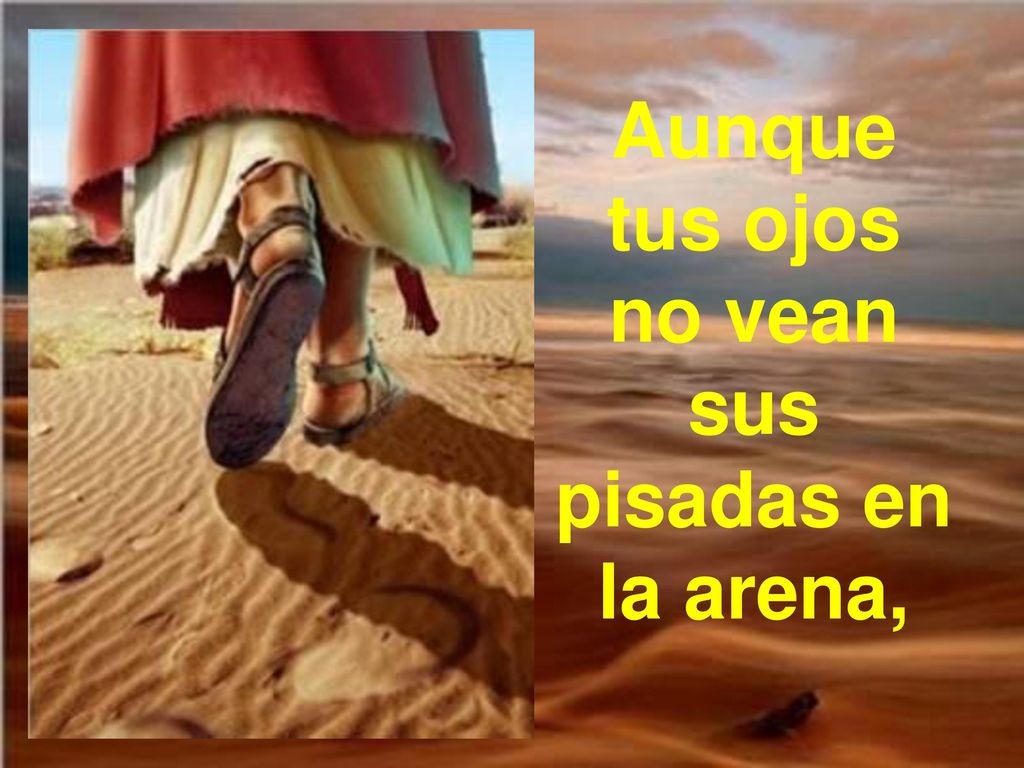 Aunque tus ojos no vean sus pisadas en la arena,