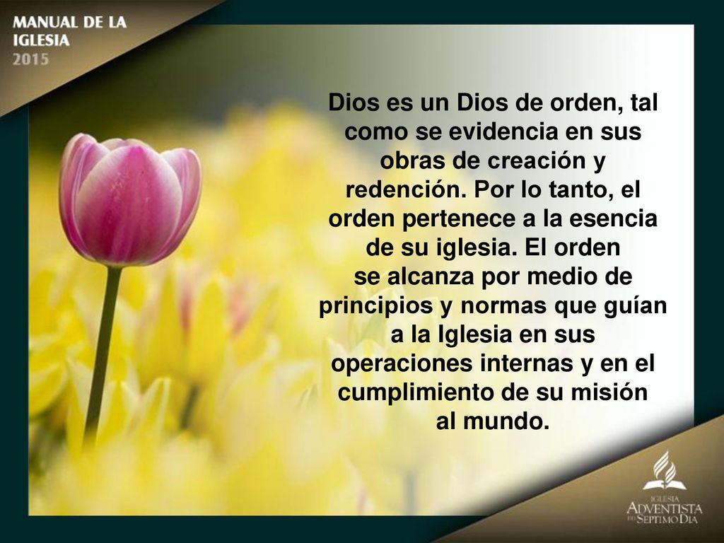 Dios es un Dios de orden, tal como se evidencia en sus obras de creación y redención. Por lo tanto, el orden pertenece a la esencia de su iglesia. El orden