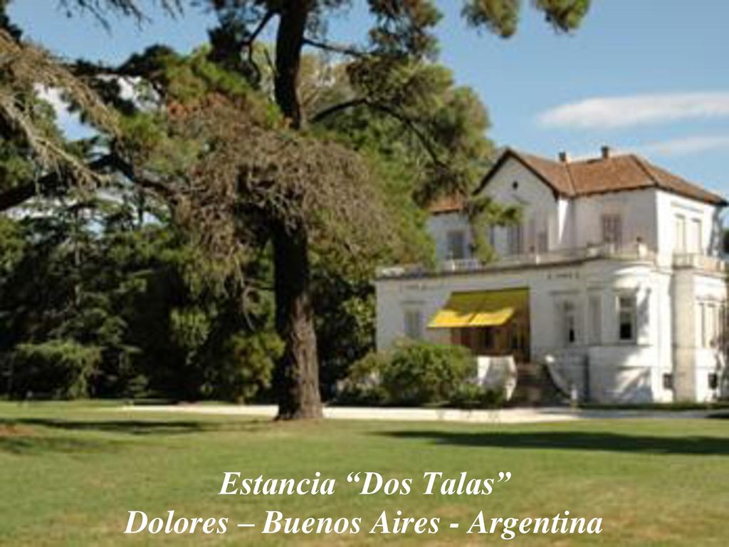 Estancia Dos Talas Dolores – Buenos Aires - Argentina