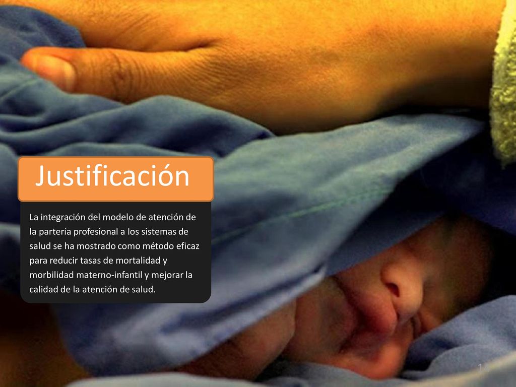 Justificación La integración del modelo de atención de la partería profesional a los sistemas de.