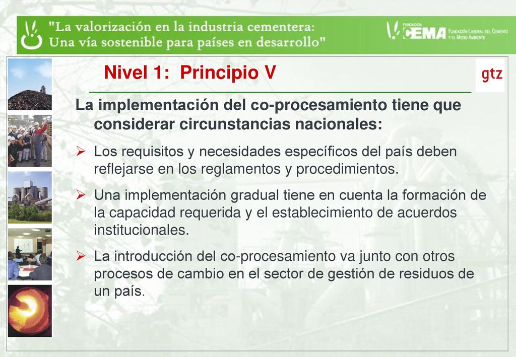 Nivel 1: Principio V La implementación del co-procesamiento tiene que considerar circunstancias nacionales:
