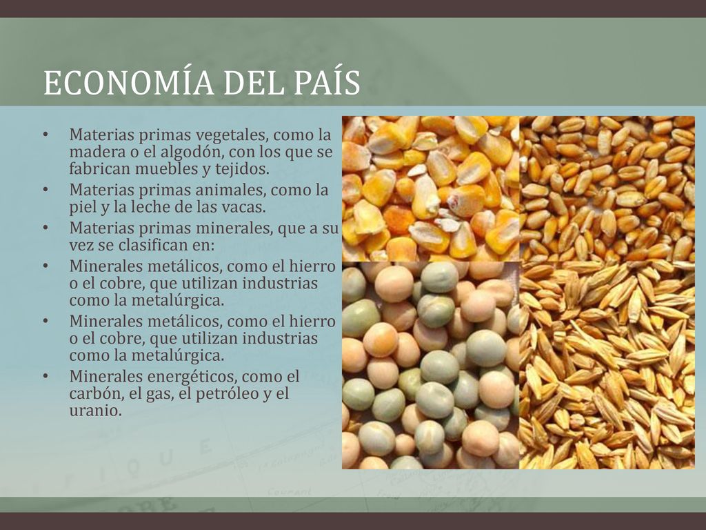Economía del país Materias primas vegetales, como la madera o el algodón, con los que se fabrican muebles y tejidos.