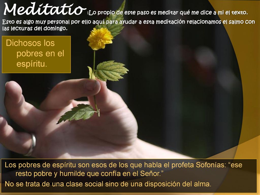 Meditatio :Lo propio de este paso es meditar qué me dice a mi el texto