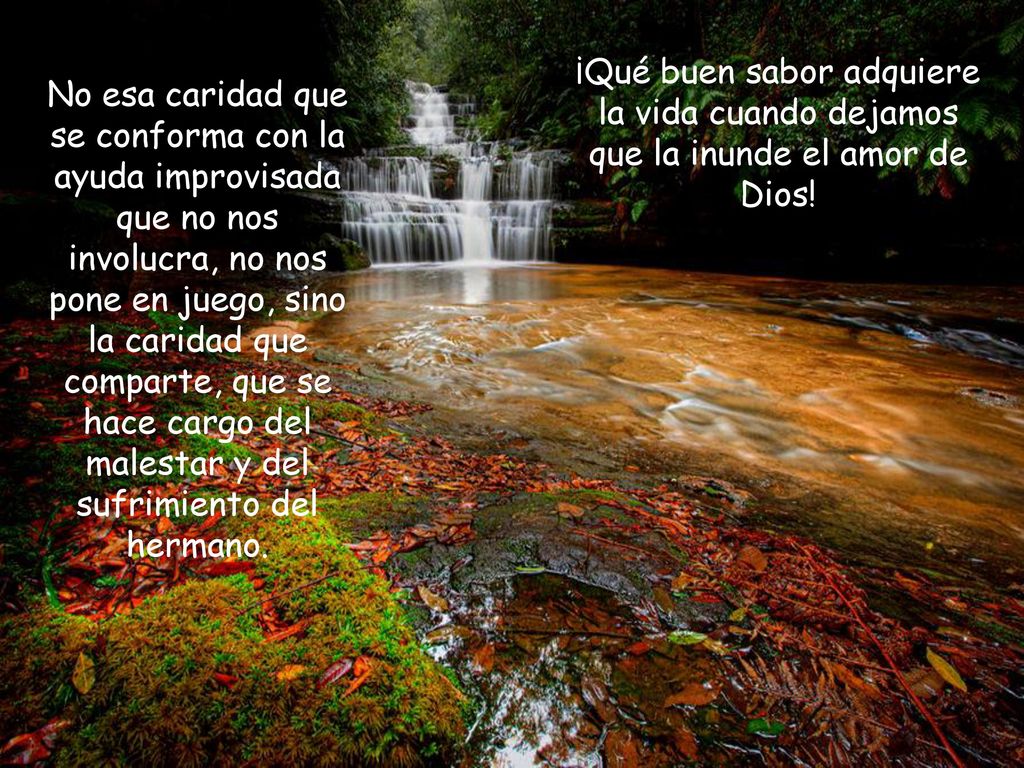 ¡Qué buen sabor adquiere la vida cuando dejamos que la inunde el amor de Dios!