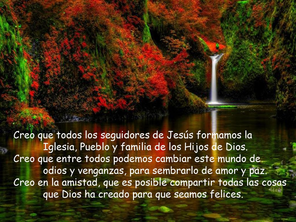 Creo que todos los seguidores de Jesús formamos la
