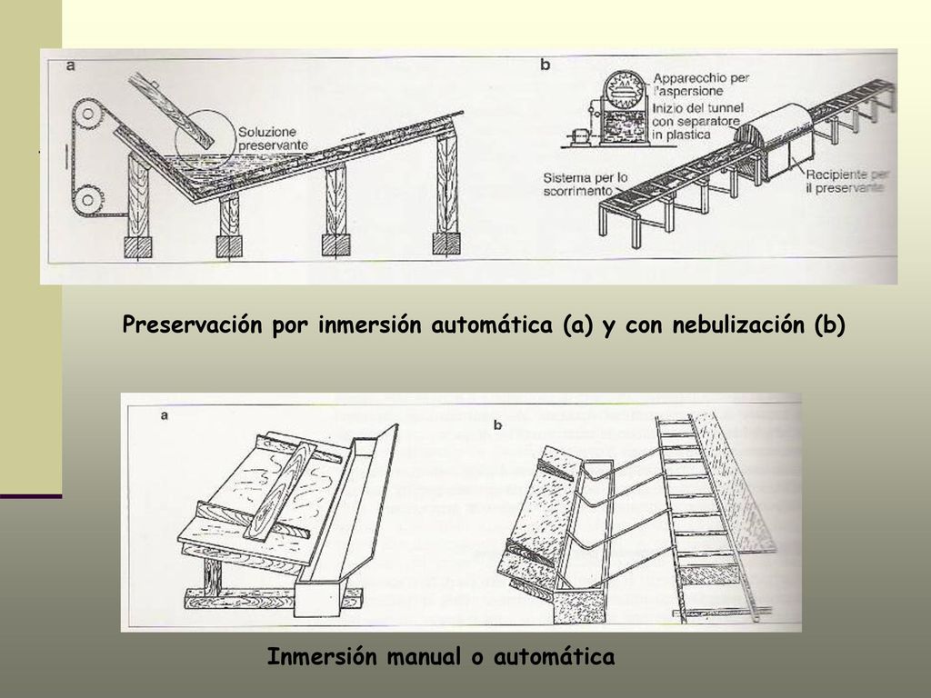 Preservación por inmersión automática (a) y con nebulización (b)