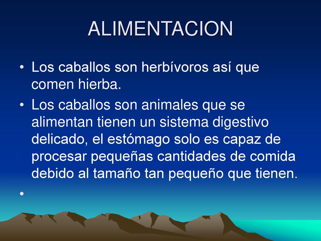 ALIMENTACION Los caballos son herbívoros así que comen hierba.