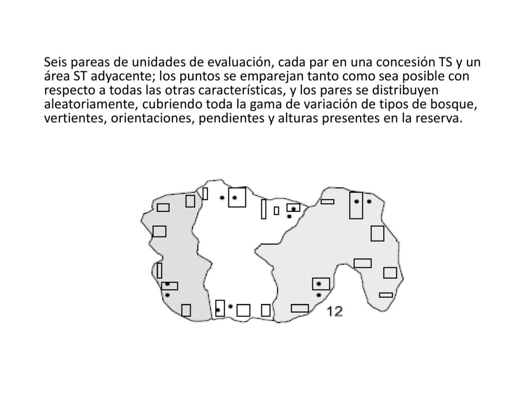 Seis pareas de unidades de evaluación, cada par en una concesión TS y un área ST adyacente; los puntos se emparejan tanto como sea posible con respecto a todas las otras características, y los pares se distribuyen aleatoriamente, cubriendo toda la gama de variación de tipos de bosque, vertientes, orientaciones, pendientes y alturas presentes en la reserva.
