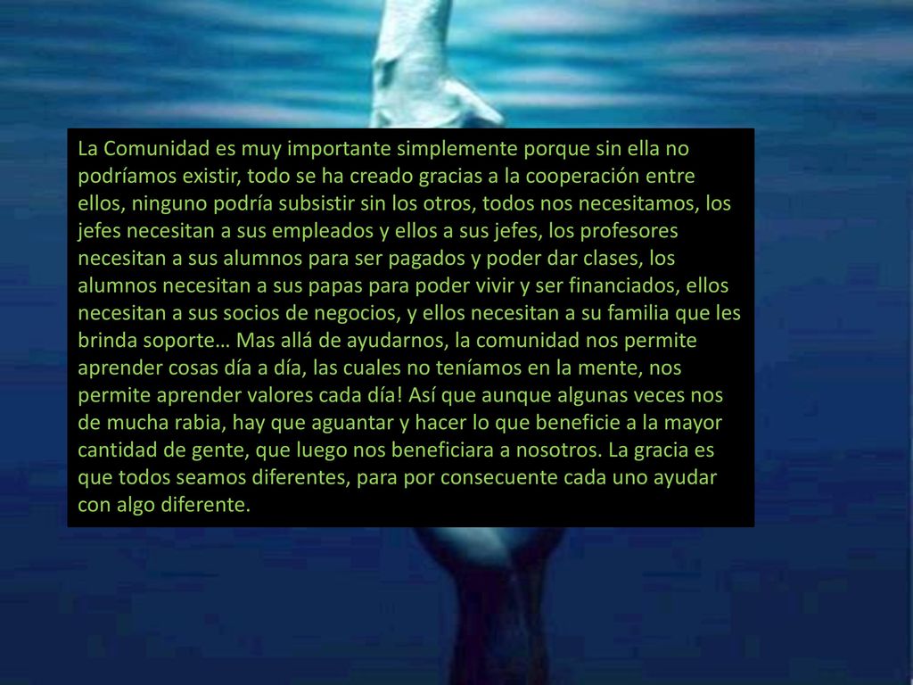 La Comunidad es muy importante simplemente porque sin ella no podríamos existir, todo se ha creado gracias a la cooperación entre ellos, ninguno podría subsistir sin los otros, todos nos necesitamos, los jefes necesitan a sus empleados y ellos a sus jefes, los profesores necesitan a sus alumnos para ser pagados y poder dar clases, los alumnos necesitan a sus papas para poder vivir y ser financiados, ellos necesitan a sus socios de negocios, y ellos necesitan a su familia que les brinda soporte… Mas allá de ayudarnos, la comunidad nos permite aprender cosas día a día, las cuales no teníamos en la mente, nos permite aprender valores cada día.