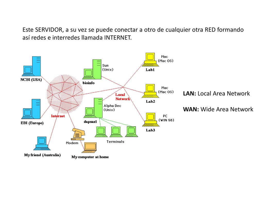 Este SERVIDOR, a su vez se puede conectar a otro de cualquier otra RED formando así redes e interredes llamada INTERNET.