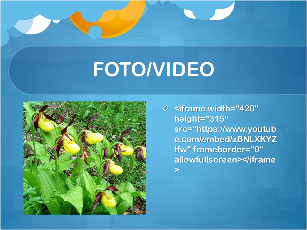 FOTO/VIDEO <iframe width= 420 height= 315 src=   e.com/embed/zBNLXKYZ tfw frameborder= 0 allowfullscreen></iframe >