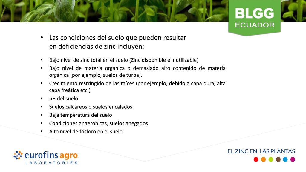 Las condiciones del suelo que pueden resultar en deficiencias de zinc incluyen:
