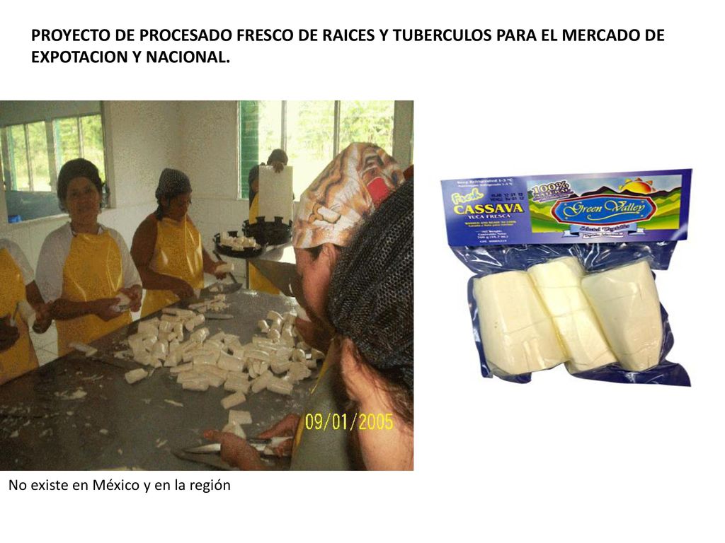PROYECTO DE PROCESADO FRESCO DE RAICES Y TUBERCULOS PARA EL MERCADO DE EXPOTACION Y NACIONAL.
