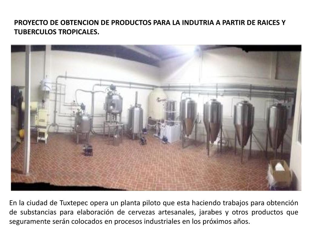 PROYECTO DE OBTENCION DE PRODUCTOS PARA LA INDUTRIA A PARTIR DE RAICES Y TUBERCULOS TROPICALES.