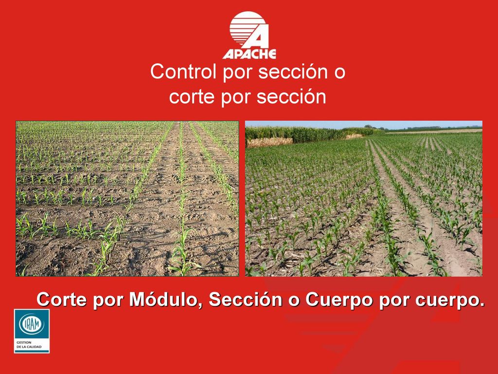 Amortización del piloto Automático Situación: Sembradora de 16 líneas a 52,5 cm de separación entre líneas.