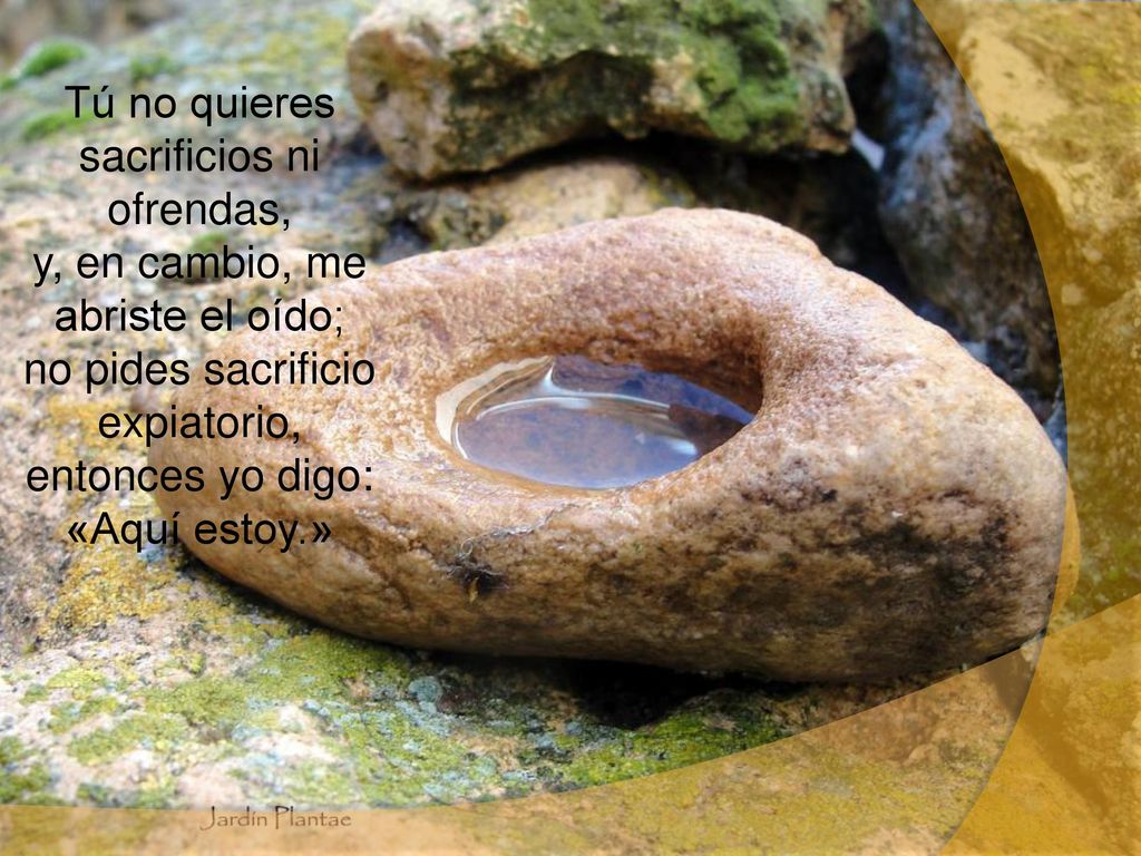 Tú no quieres sacrificios ni ofrendas, y, en cambio, me abriste el oído; no pides sacrificio expiatorio, entonces yo digo: «Aquí estoy.»