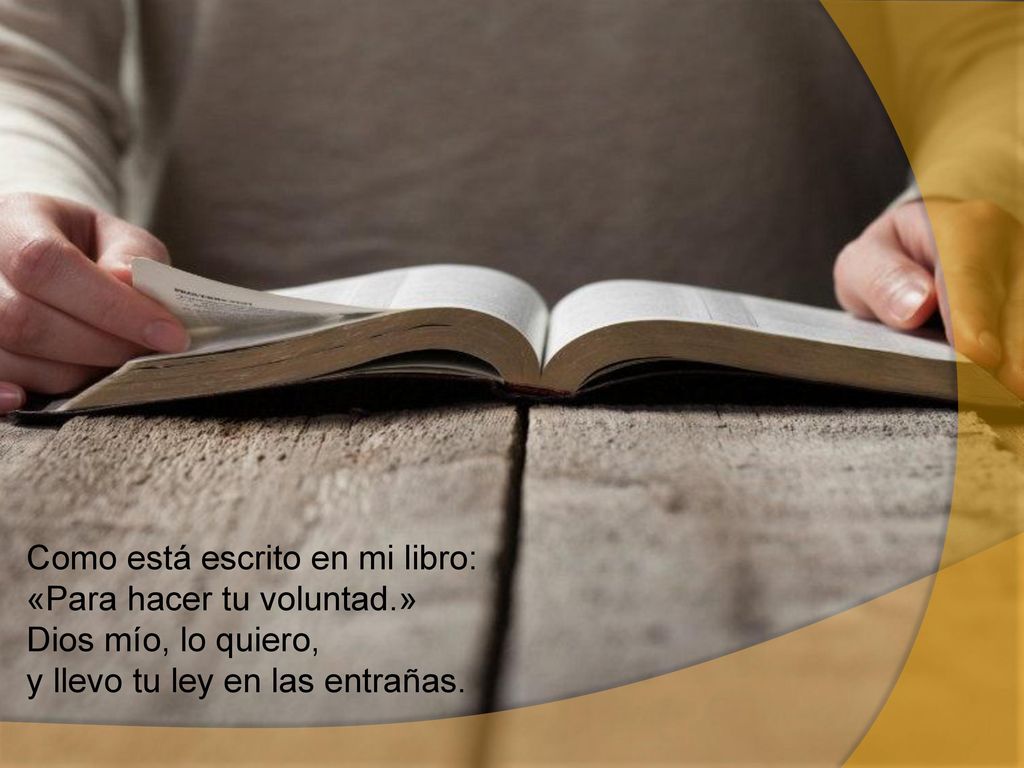 Como está escrito en mi libro: «Para hacer tu voluntad