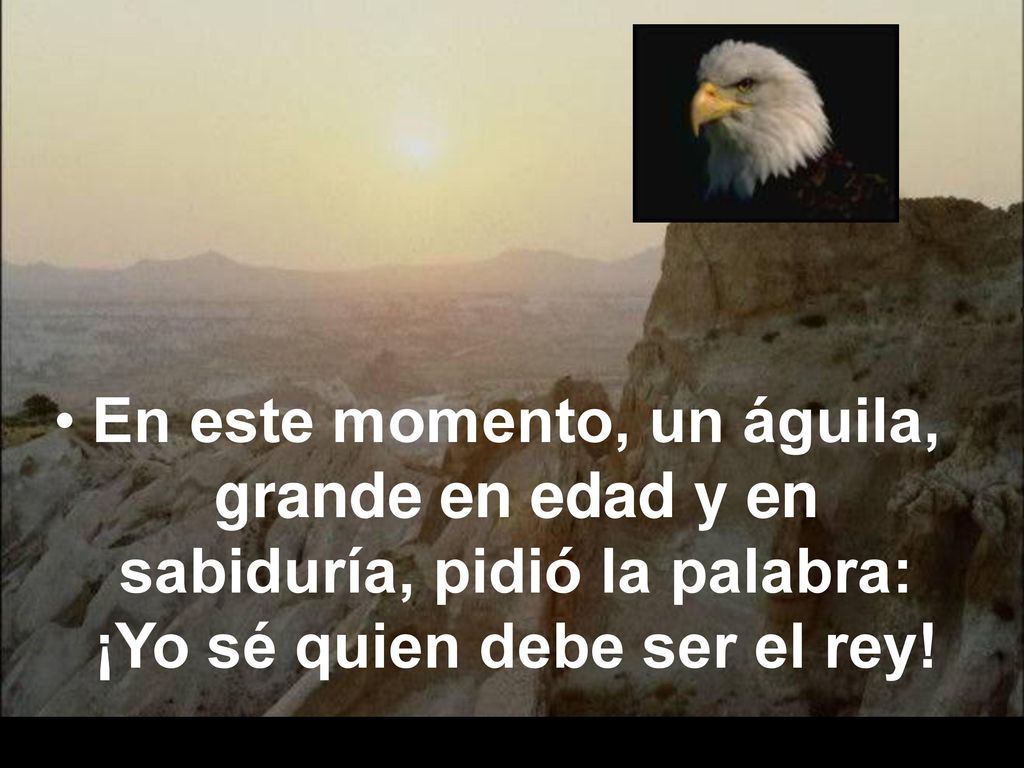 En este momento, un águila, grande en edad y en sabiduría, pidió la palabra: ¡Yo sé quien debe ser el rey!