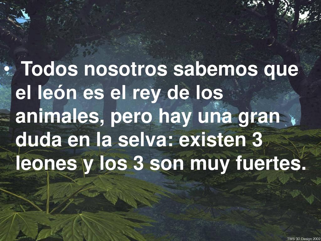 Todos nosotros sabemos que el león es el rey de los animales, pero hay una gran duda en la selva: existen 3 leones y los 3 son muy fuertes.