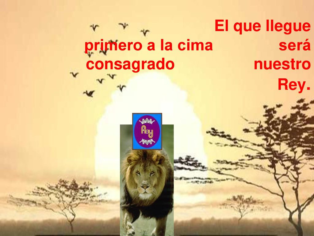 El que llegue primero a la cima será consagrado nuestro Rey.