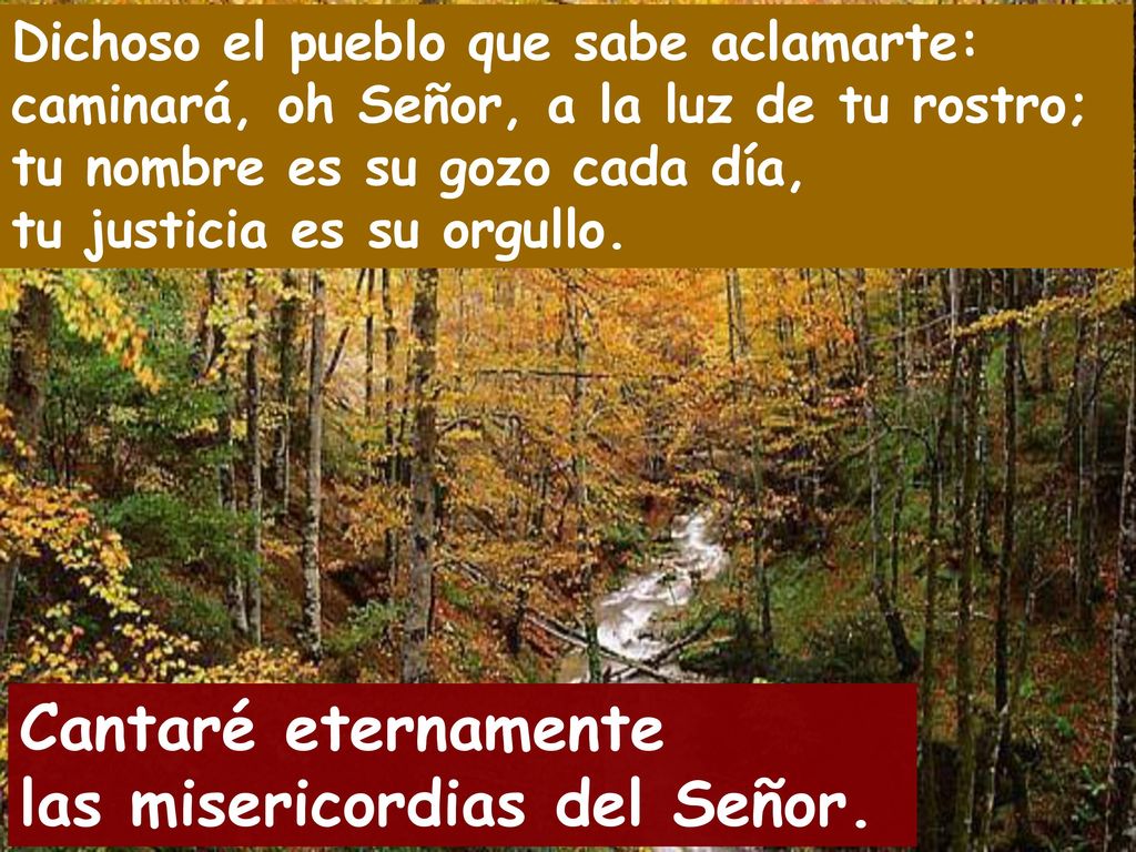 Cantaré eternamente las misericordias del Señor.