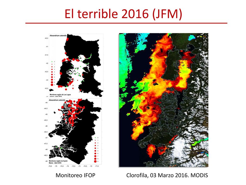 El terrible 2016 (JFM) Monitoreo IFOP Clorofila, 03 Marzo MODIS