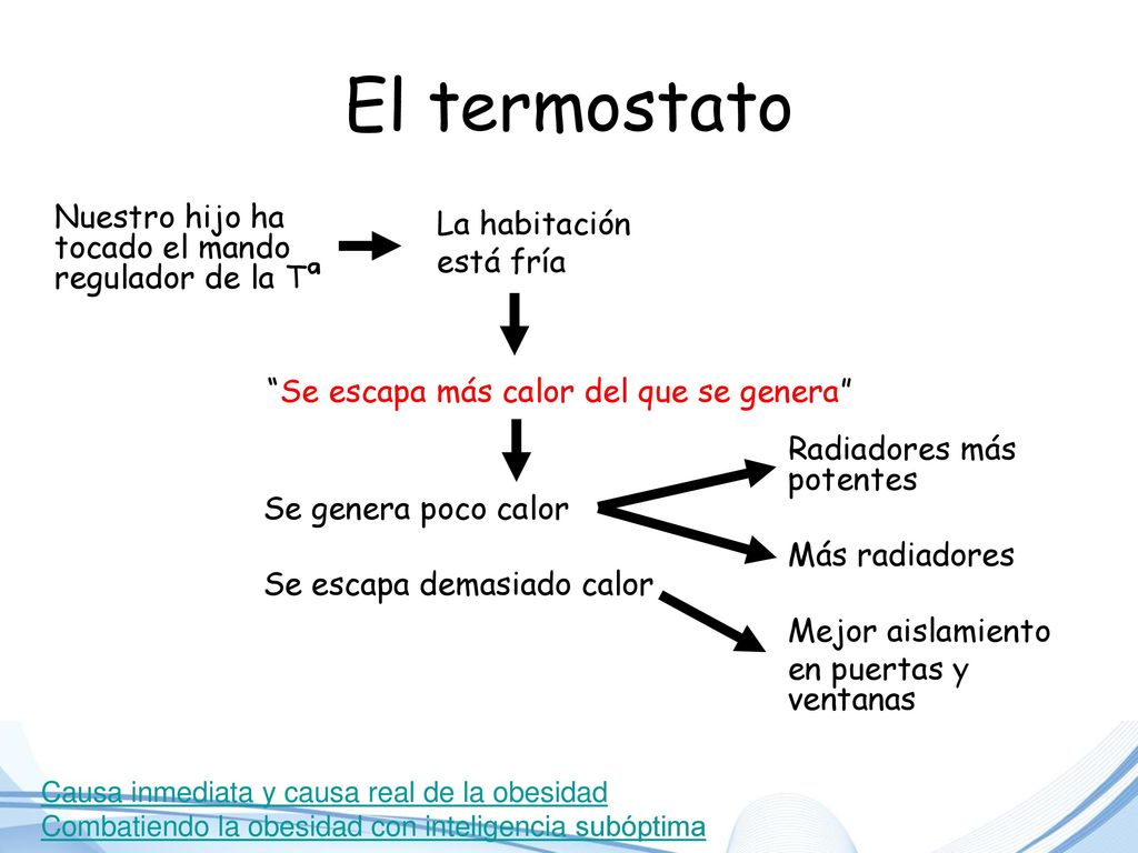 El termostato Nuestro hijo ha tocado el mando regulador de la Tª