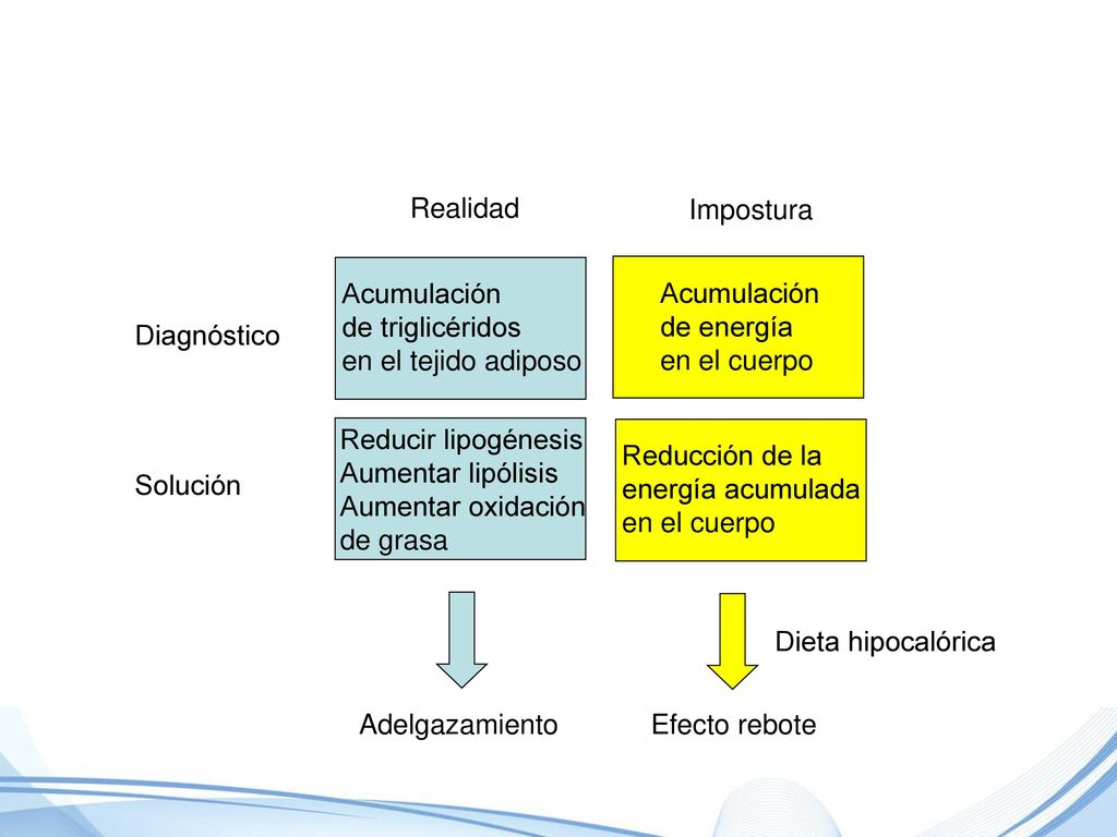 Realidad Impostura. Efecto rebote. Dieta hipocalórica. Reducción de la. energía acumulada. en el cuerpo.