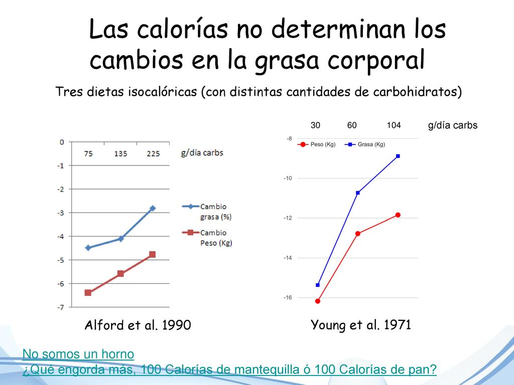 Las calorías no determinan los cambios en la grasa corporal