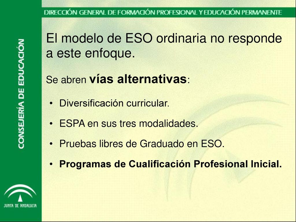 El modelo de ESO ordinaria no responde a este enfoque.