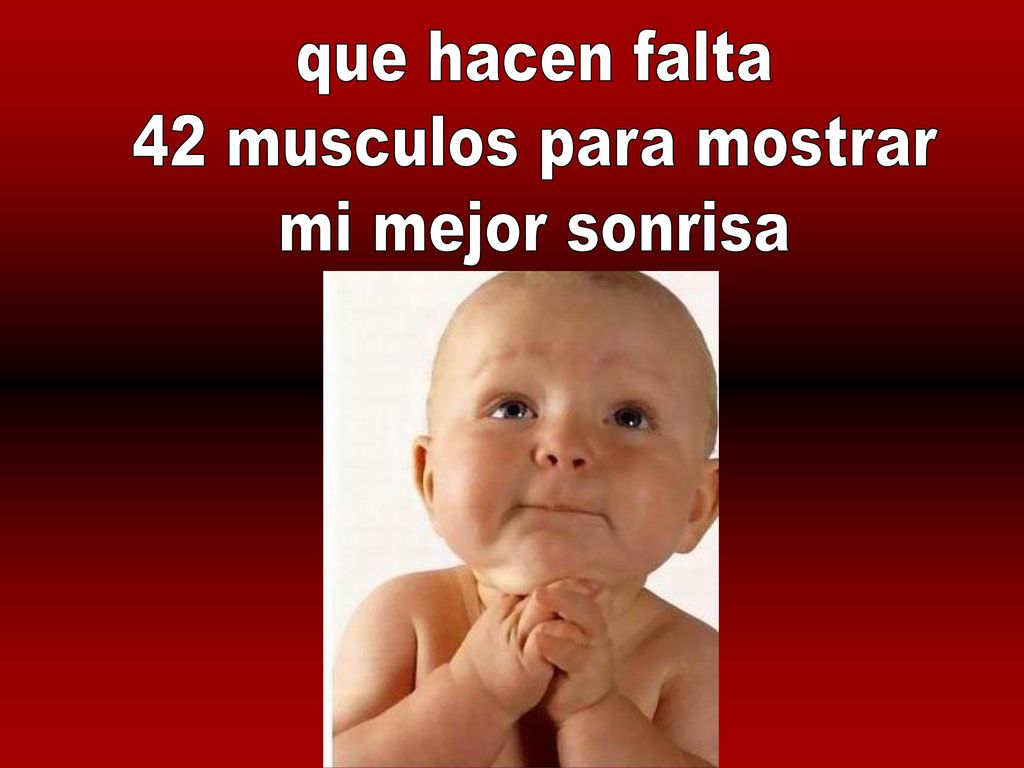 que hacen falta 42 musculos para mostrar mi mejor sonrisa