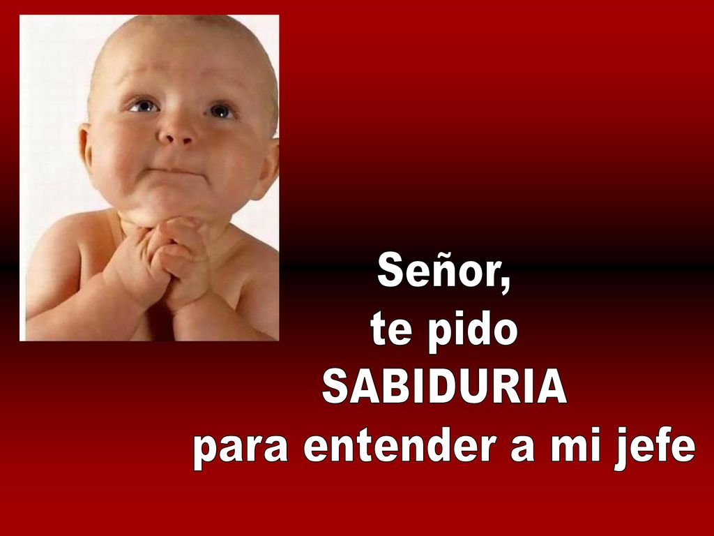 Señor, te pido SABIDURIA para entender a mi jefe