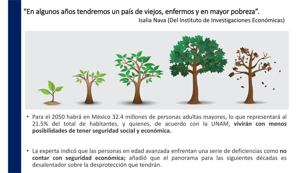 En algunos años tendremos un país de viejos, enfermos y en mayor pobreza . Isalia Nava (Del Instituto de Investigaciones Económicas)