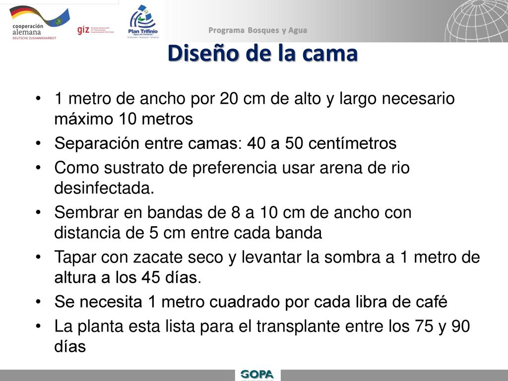 Diseño de la cama 1 metro de ancho por 20 cm de alto y largo necesario máximo 10 metros. Separación entre camas: 40 a 50 centímetros.