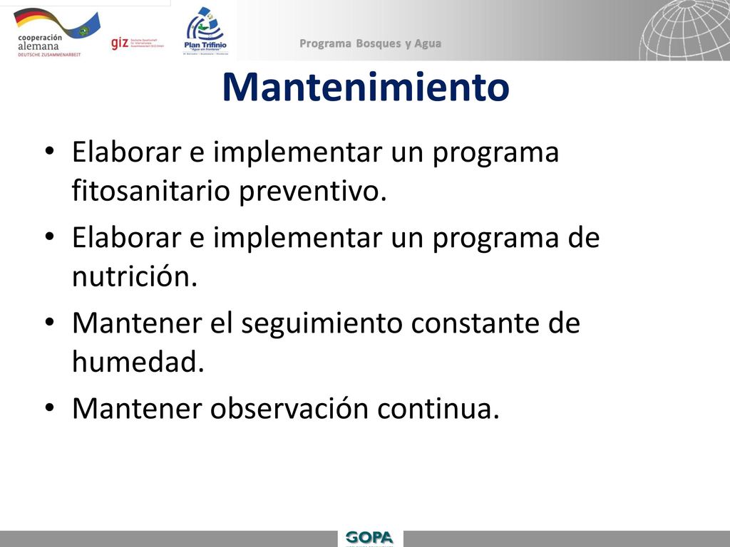 Mantenimiento Elaborar e implementar un programa fitosanitario preventivo. Elaborar e implementar un programa de nutrición.