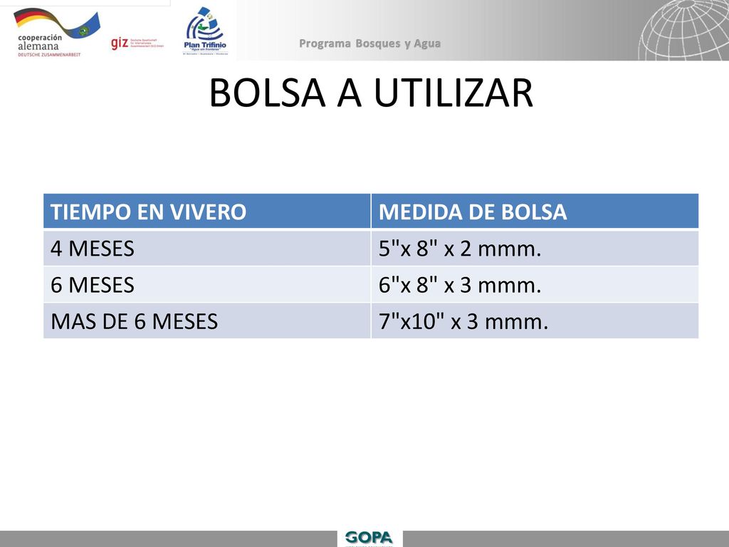 BOLSA A UTILIZAR TIEMPO EN VIVERO MEDIDA DE BOLSA 4 MESES